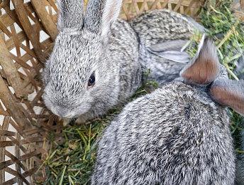 《极限竞速：地平线5》携手《芭比》！芭比流行文化大展，你我“粉”一波！